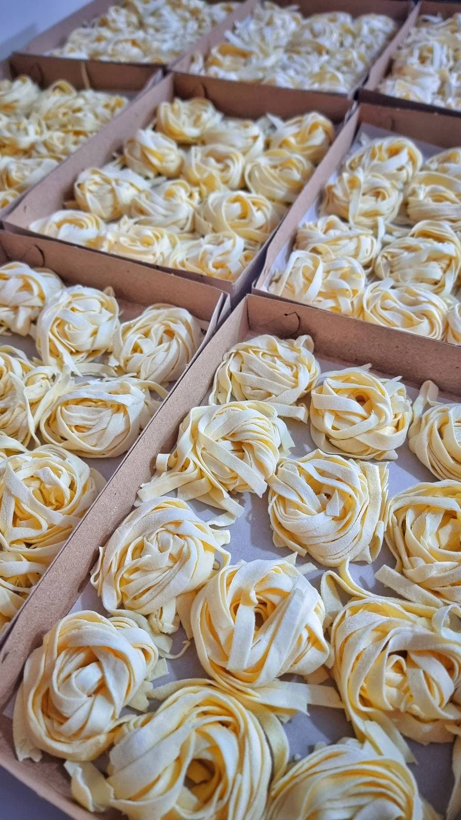 Fettuccini